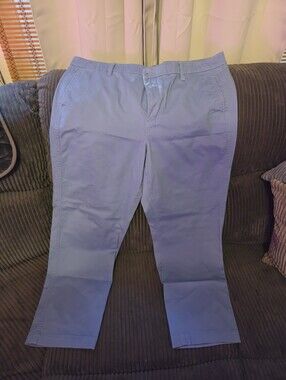 J. Crew Cropped Chino Pants in Light Blue